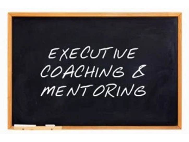 Executive Mentoring for Leadership Development